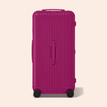 Essentials Polycarbonate Check In Trunk