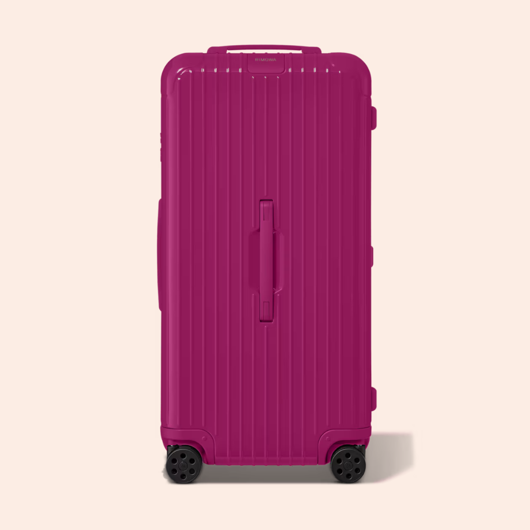 Essentials Polycarbonate Check In Trunk