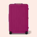 Essentials Polycarbonate Check In L Luggage