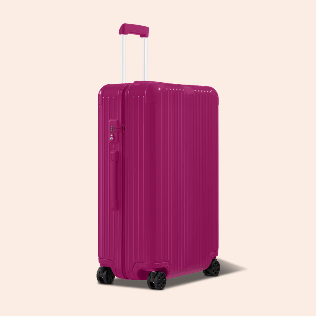 Essentials Polycarbonate Check In L Luggage