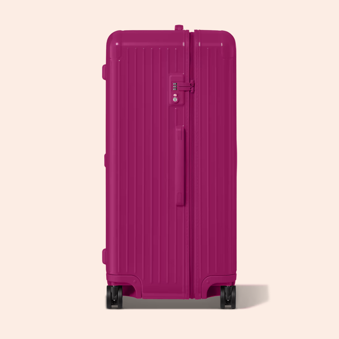 Essentials Polycarbonate Check In Trunk